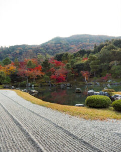 嵯峨嵐山 天龍寺、紅葉、日本庭園、11月秋、京都府京都市の観光・撮影スポットの名所